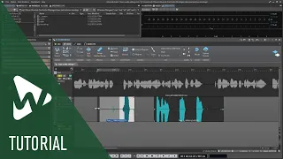 Editing Your Audio Recordings | WaveLab Cast Tutorials