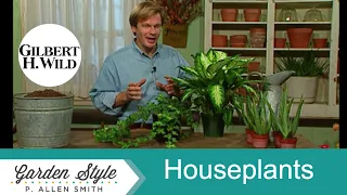 Practical Houseplants and How to Care for Them | Garden Style (401)