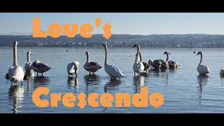 Love's Crescendo, Sophie and Julian's Wedding Tune
