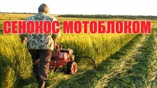 СЕНОКОС И МОТОБЛОК С РОТОРНОЙ КОСИЛКОЙ "ЗАРЯ"