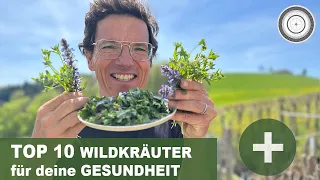 DIE TOP 10 WILDKRÄUTER und HEILKRÄUTER in deinem Garten - SEHEN UND ERKENNEN