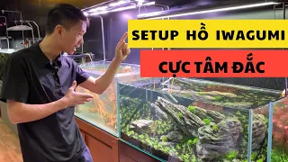 Setup bể cá phong cách iwagumi cực tâm đắc| Nguyễn Du Aqua