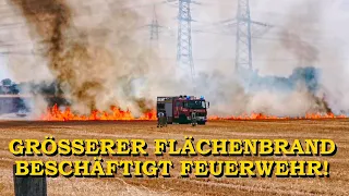 [GRÖSSERER FLÄCHENBRAND BEI EXTREMER TROCKENHEIT] - FLAMMEN SCHLAGEN EMPOR - | FEUERWEHR | EPPELHEIM