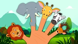 Animals Finger Family | Nursery Rhymes For Children