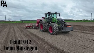 Fendt 942 beim Maislegen (4K)