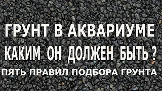 Грунт в аквариуме , каким он должен быть?