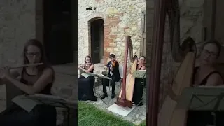 Flute, Harp & Violin Trio for Weddings in Italy