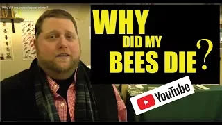 Why did my bees die over winter?