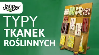 Jangar – Typy tkanek roślinnych