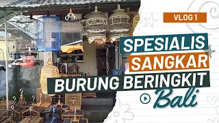 SPESIALIS SANGKAR BURUNG PASAR BRINGKIT MENGWI - BALI | DAILY VLOG  #kicaumania #sangkarburung