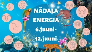 ⚡️ Nädala Energia ⚡️ 🐬 6.juuni-12.juuni 🐬 - 🔮 12 Tähemärki 🔮