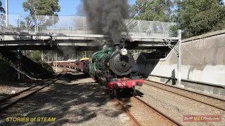 Australian steam locomotive 3526 - Beecroft - April 2024