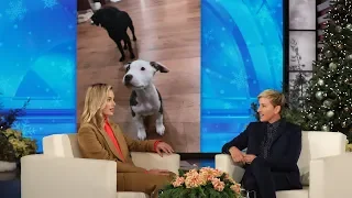 Margot Robbie's Husband Surprised Her with a Rescue Dog