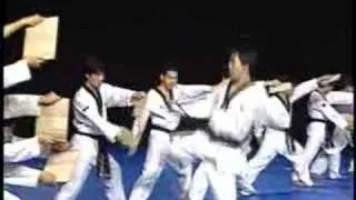 Korean  National Taekwondo Demo Team