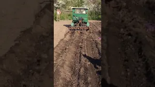 Посадка картошки мини-трактором