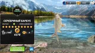 Гималаи Новая Рыба Серебрянный Барбус!!!Игровой процесс, Fishing clash, фишинг клеш