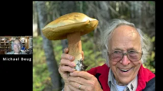 "Mushrooms of Cascadia" by Michael Beug.