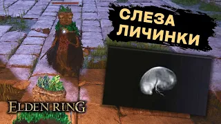 Встретил самого себя в качестве БОССА / Слеза личинки / Elden Ring