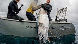 SPEARFISHING GIANT DOGTOOTH TUNA IN PAPUA NEW GUINEA