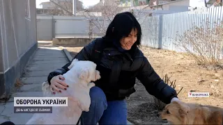 Волонтерка з Вінниччини прихистила 30 котів і собак, яких покинули господарі, тікаючи від війни