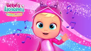 💗🎤 LOS BEBÉS EXPLORADORES 🎤💗 KARAOKE 🎵 BEBÉS LLORONES 💧 LÁGRIMAS MÁGICAS 💕 CANCIONES en ESPAÑOL