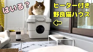 寒波襲来⁉︎ヒーター付き野良猫ハウス断熱材で強化！ぽこまる入居なるか？