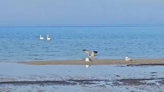 Эта болезнь у меня  впервые.Неприятно.