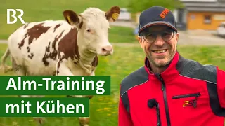 Start in den Alm-Sommer: Alm-Training für die Kuh-Herde | Kühe | Unser Land | BR