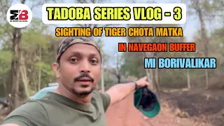 SIGHTING OF CHOTA MATKA | TADOBA | NAVEGAON BUFFER |