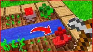 Minecraft mas VOCÊ pode PLANTAR BIOMAS INTEIROS