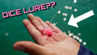 Could This Ridiculous Lure Change The Fishing Industry!? The O.S.P. Saikoro Rubber (Dice Rubber)!