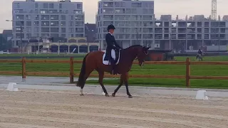 Enya des concessions CIC2* dressage waregem