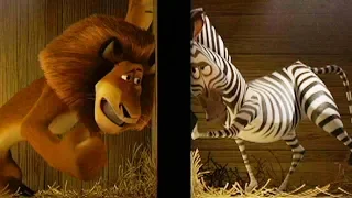 DreamWorks Madagascar em Português | Transferência Zoo - Madagascar | Desenhos Animados