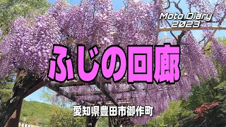 【Moto Diary】【4K】「ふじの回廊」愛知県豊田市御作町