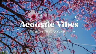 Acoustic Chill Songs 🌸 Best English Music for a Happy Morning