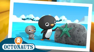 @Octonauts - The Great Arctic Adventure | Earth Day 🌎 Special! | Season 3 | Cartoons for Kids