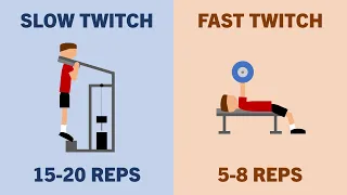 Should You Train According to Muscle Fibre Type?