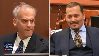 Amber Heard's Psychiatrist Expert Witness Testifies in Defamation Trial Part One (Depp v. Heard)