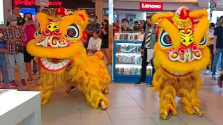 Twin Lion Dance