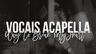 Way To Break My Heart - Ed Sheeran feat. Skrillex (ACAPELLA)