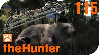 THE HUNTER #115 - BLONDER GRIZZLY mit BOGEN! 🐗 || Let's Play The Hunter || German