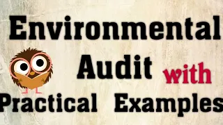 Environmental  Audit | with example