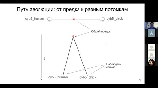 Андрей Сигорских (ФББ МГУ) «Молекулярная филогенетика: crash-course»