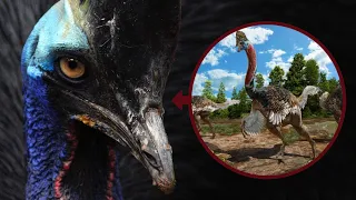 10 Birds That Still Look Like Their Dinosaur Ancestors