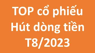 TOP cổ phiếu và ngành nghề hút dòng tiền T8/2023