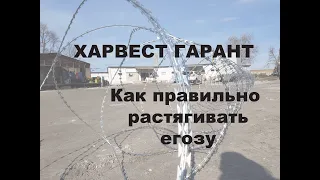 Как правильно растянуть егозу на установочную длину