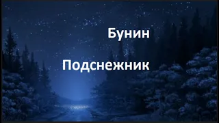 Бунин Подснежник