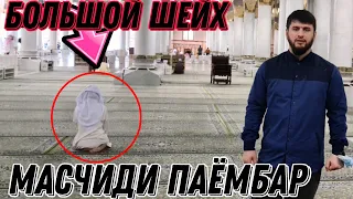 срочно хамакаса дароен бинен😱😱😱