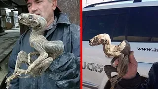 5 Most Mysterious Creatures Found In Mines!