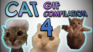 cat 4